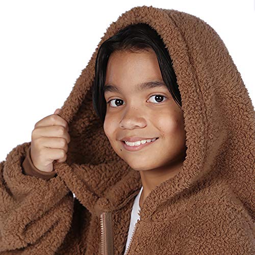 THE COMFY Teddy Bear QuarterZip Oversized Microfiber & Sherpa