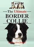The Ultimate Border Collie