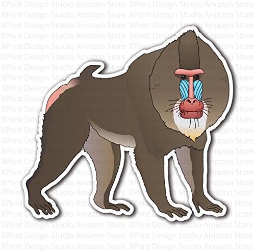 Monkey Baboon Sticker