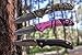 Buck Knives 284 Bantam BBW Folding Knife