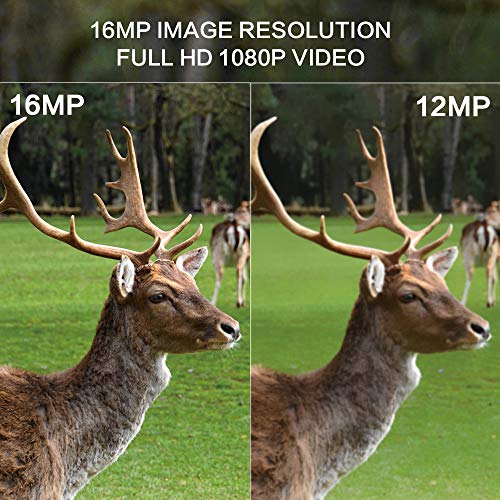 Asiwo Wildkamera, 16MP 1080P Outdoor Überwachungskamera mit Bewegungsmelder 120° Weitwinkel Nachtsicht 20m mit P65… – Bild 7