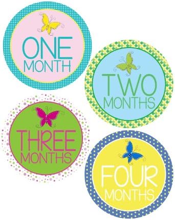 Butterfly Monthly Onesie Stickers for a baby girl - Waterproof and Durable - Includes 1-12 Month Stickers