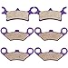 ECCPP Kevlar Carbon Fiber Brake Pads Motorcycle Replacement Front and Rear Braking Pad Kits for 2005-2007 Polaris 800 Sportsman EFI