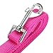 ITERY Dog Leash, Pet Durable Leash Strap for Puppy Pet Leash Rope 6-feet Long 3/4 Inch Wide (Hot Pink, 6 Feet)