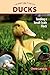 Ducks: Tending a Small-Scale Flock for Pleasure and Profit (Hobby Farms)