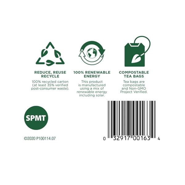 TRADITIONAL MEDICINALS ORGANIC TEA – SPEARMINT 16 BAGS (PACK OF 2)