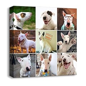 Animals Plants Collage Ideas Home Wall for Bedroom...