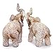 Feng Shui Lovely Pair of Polyresin Elephant Trunk Statue Wealth Lucky Figurine Home Decor Housewarming Gift US Seller