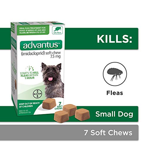 advantus flea treatment