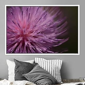 signwin Framed Canvas Wall Art Blooming Closeup Botanical...
