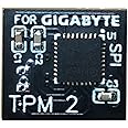 Replacement TPM 2.0 Security Module SPI 12Pin(12pin-1) Security Module for GIGABYTE GC-TPM20 Platform Accessories