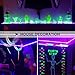 Onforu 49.2ft LED Black Lights Strip Kit, 900 Units Lamp Beads, 12V Flexible Black light Strip Lighting, 15M Black Light LED Strips for Glow Party, Bedroom, Game Room, Night Club, Halloween Decoration