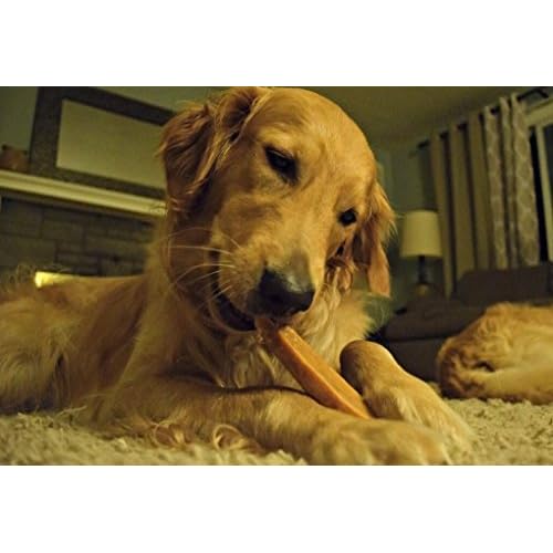 ecokind pet treats himalayan gold yak dog chews