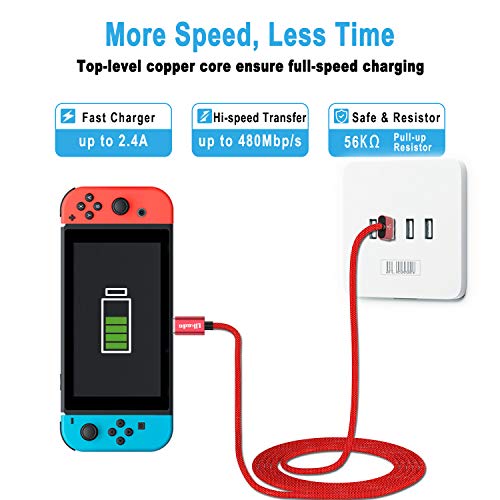 Charger Charging Cable for Nintendo Switch, 2 Pack 6.6Ft USB Type C