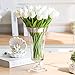 Montout 12PCS/Set PU Stunning Holland Tulip Flower Real Touch Artificial Silk Flowers Arrangement Bouquet Home Room Office Wedding Party Decor (White)
