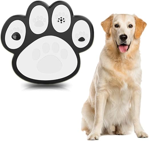 little dog barking at big dog