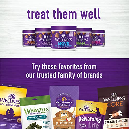 Wellness Complete Health Food + Supplements Bundle Natural Dry Dog