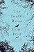 The Twelfth Raven: A Memoir of Stroke, Love and Recovery by 