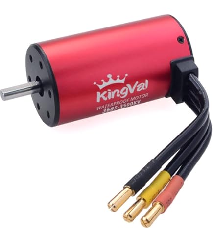 Amazon.com: HOBBYWING EZRUN 3665 SD G3 Motor (EZRUN 3665SD-2400KV
