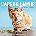 Cats on Catnip Wall Calendar 2020 by