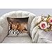 HGOD DESIGNS Throw Pillow Case Horse,Running Horses Cotton Linen Square Cushion Cover Standard Pillowcase for Men Women Home Decorative Sofa Armchair Bedroom Livingroom 18 x 18 inch