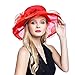 Women's Organza Church Derby Fascinator Cap Kentucky Tea Party Wedding Hat