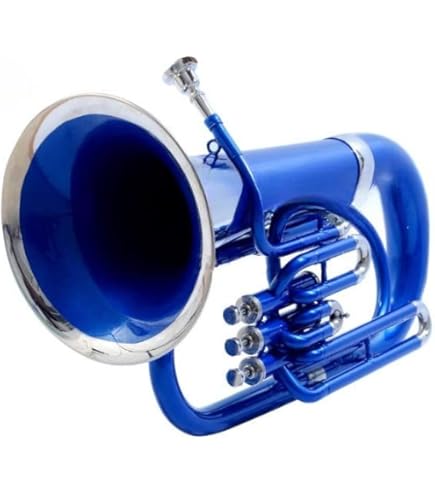 Amazon.com: Cool Wind CEU-200 Series 4-Valve Plastic Euphonium