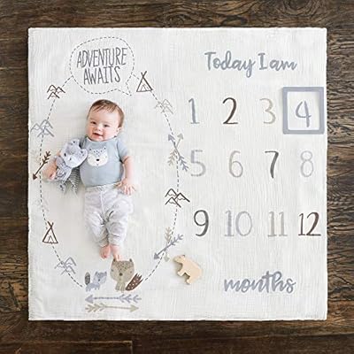 gerber organic blanket