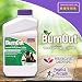 Bonide (BND7464) - Burnout Concentrate, Fast Acting Weed and Grass Killer (1 qt.) primary