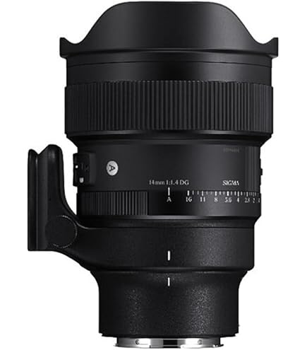 Amazon.com : Sigma 14mm f/1.8 Art DG HSM Lens (for Sony E Cameras