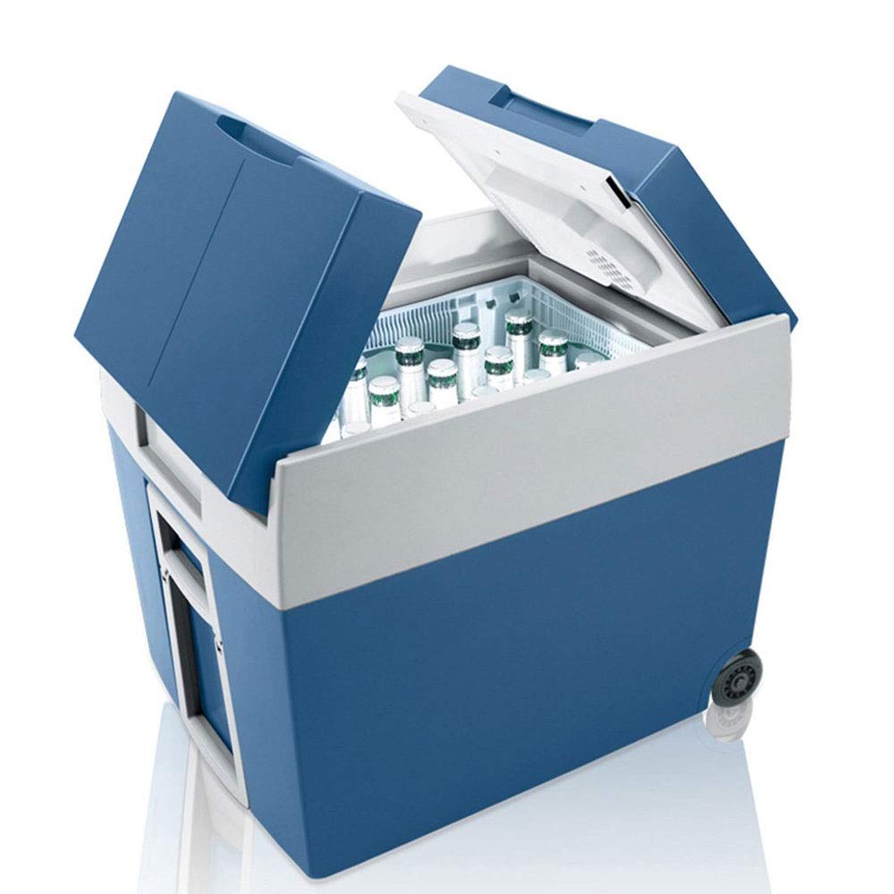 The 10 Best Car Refrigerator 48 Lieter