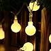 LUCKLED Battery Powered Dimmable Globe String Lights, 17.4 ft 50 LED Decorative Christmas Lights for Home, Garden, Patio, Lawn, Party and Holiday Decorations (Warm White)
