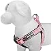 Blueberry Pet Soft & Comfy 3M Reflective Step-in Pastel Color Padded Dog Harness, Chest Girth 23.5