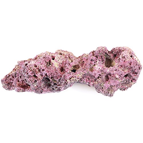 ARC Reef Standard Live Rock for Saltwater Aquariums, 25 lbs. Elite
