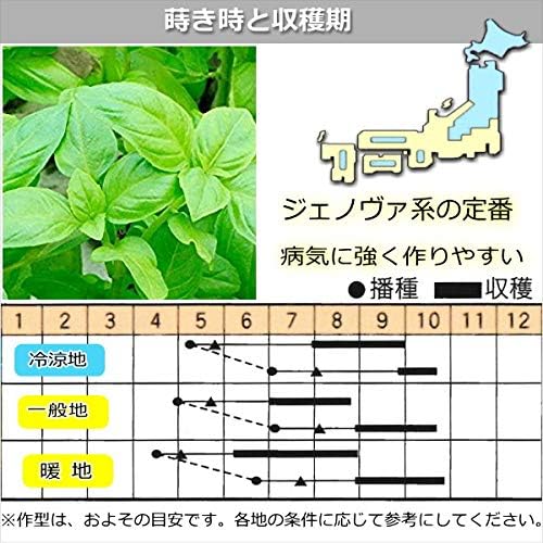 Amazon バジル 種子 バジリコ Basilico ジェノヴァ 80粒 野菜