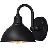 Naurham Barn Light Gooseneck Light- Small Farmhouse Outdoor Lighting, 1-Light Outdoor Gooseneck Lighting Farmhouse Wall Sconc