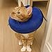 Inflatable Dog Collar, Recovery Cone, Adjustable Soft Comfortable Pet Recovery Collar After Surgery, Scratching,Stitches, Rashes Wounds