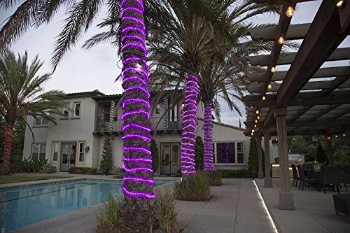 100 LEDs Solar Rope String Lights,WONFAST Waterproof 39ft/12M Copper Wire Outdoor Tube Fairy String Lights for Christmas Garden Yard Path Fence Tree Backyard (Purple) - Thumbnail 5