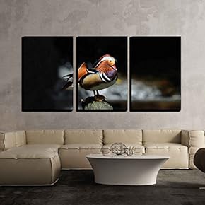 3 Piece Canvas Wall Art - Mandarin Duck - Modern Home Art Stretched and Framed Ready to Hang - 16"x24"x3 Panels