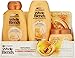 Garnier Hair Care Whole Blends Repairing Value Pack