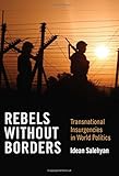 Rebels without Borders: Transnational Insurgencies in World Politics