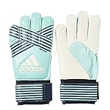 adidas Performance ACE Replique Goalie Gloves, Energy Aqua/Energy Blue/Legend Ink/Trace Blue, Size 7