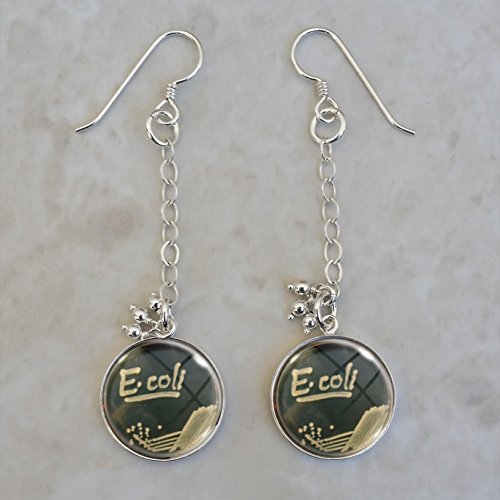 E. Coli Petri Dish Sterling Silver Earrings - Thumbnail 2
