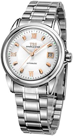 Mens skeleton automatic mechanical watches/Fashion waterproof business watch-R