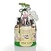 Little Twig All Natural Bubble Bath Gift Set with Shampoo, Conditioning Detangler, Soft Washcloth Tub Toy and Bubble Bath, Calming Lavender, 2.18 Pound