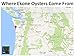 Smoked Oysters - All Natural Original Flavor Farmed in USA - Willapa Bay Washington by Ekone Oysters