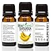 BioFinest Banana Fragrance Oil - 100% Pure & Natural - Fresh Home Scent - Air Refresher - Relaxing Aromatherapy - Skin and Hair Care - FREE E-Book (10ml)