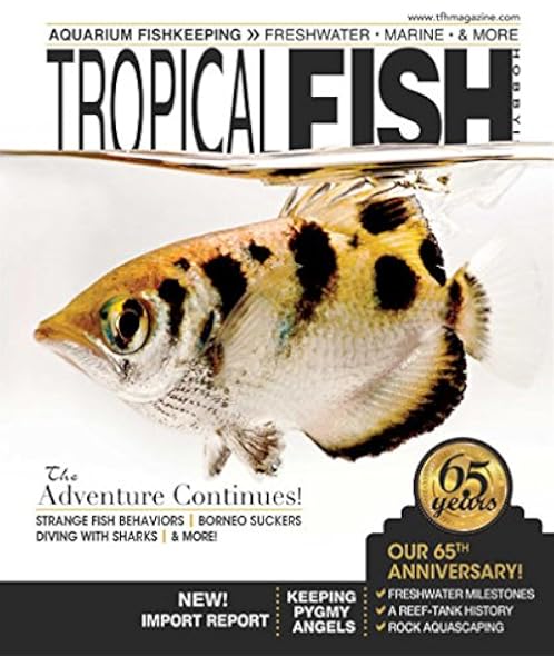 tropical fish and more