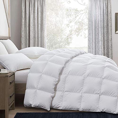 Luxurious Goose Down Comforter Twin Size Duvet Insert, All Season, White Solid, 750+ Fill Power , 36 oz Fill Weight, 1000 Thread Count , 100% Cotton Shell with 8 Tabs, Hypo-allergenic ( Twin,White )