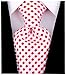 Scott Allan Collection Red & White Necktie - Checkered Ties for Men - Woven Necktie - Red and White Wedding Tie